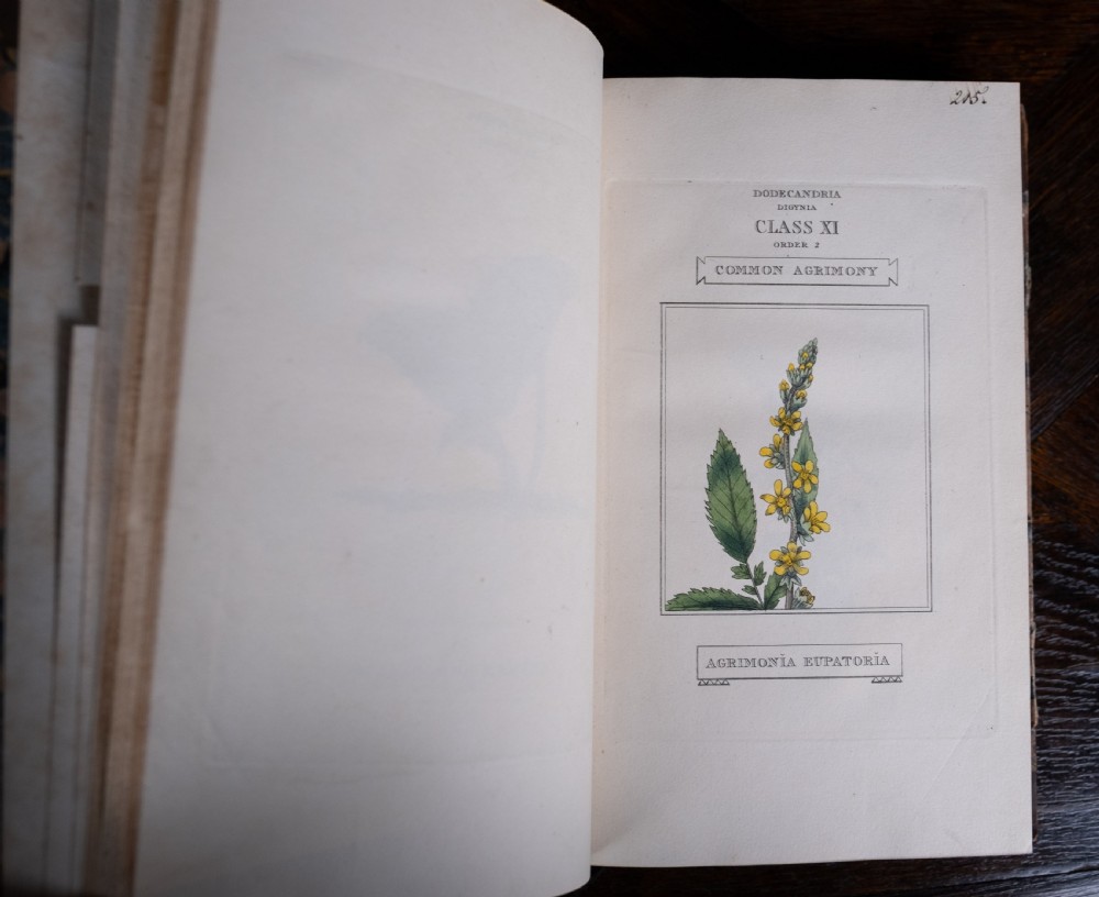 1816 The Linnaean System Of Botany. First Edition. Book Set.  View XX