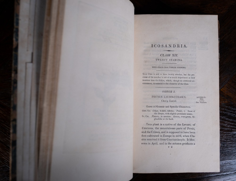 1816 The Linnaean System Of Botany. First Edition. Book Set.  View XXI