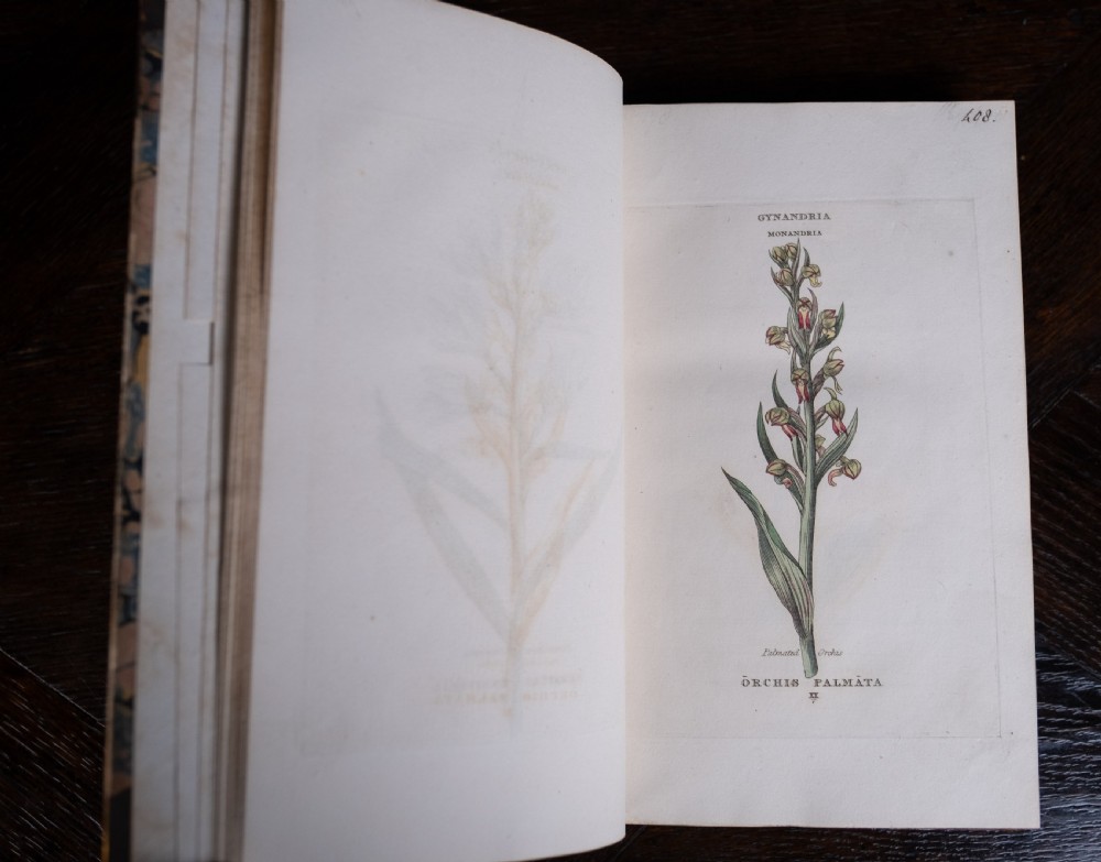 1816 The Linnaean System Of Botany. First Edition. Book Set.  View XXII