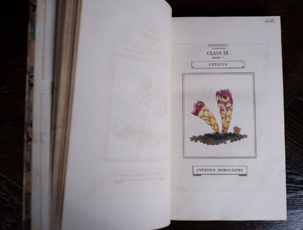 1816 The Linnaean System Of Botany. First Edition. Book Set.  View XXIII