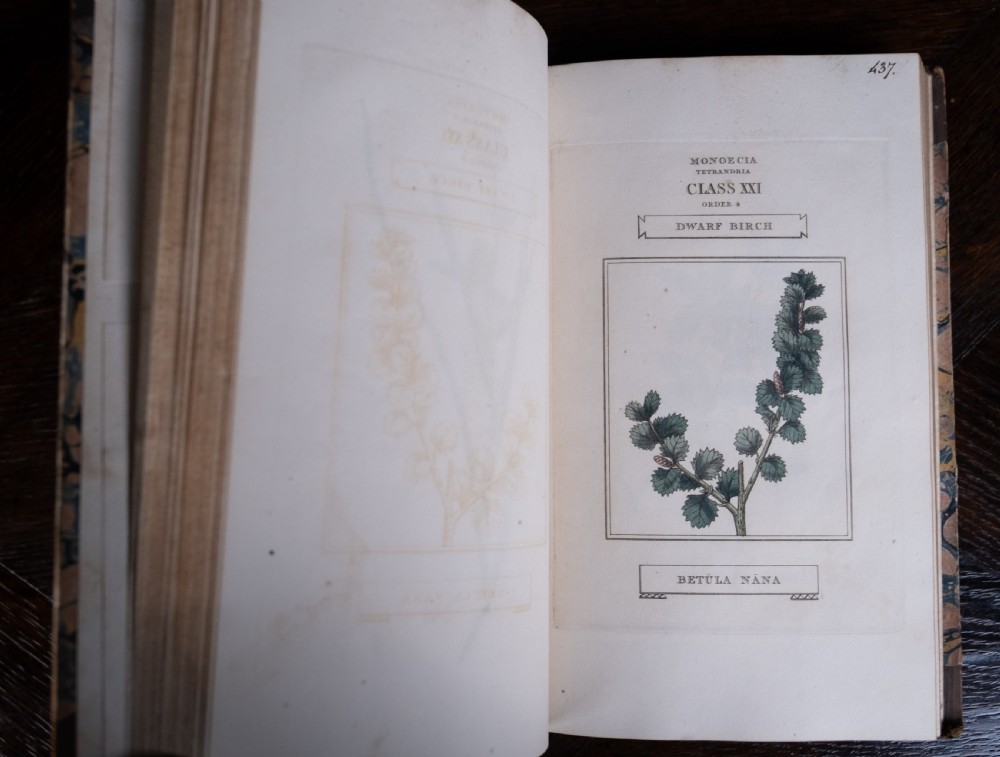 1816 The Linnaean System Of Botany. First Edition. Book Set.  View XXIV