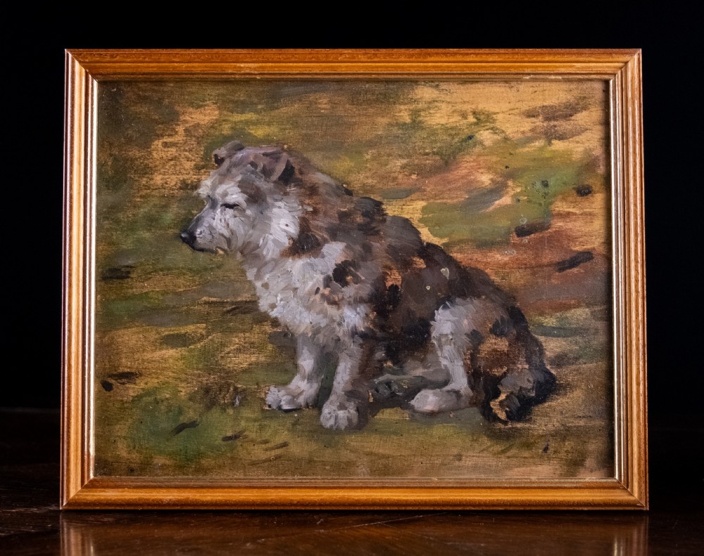 John Murray Thomson R.S.A R.S.W (Scottish, 1885-1974) - Portrait Of A Terrier. Oil On Board.  View II