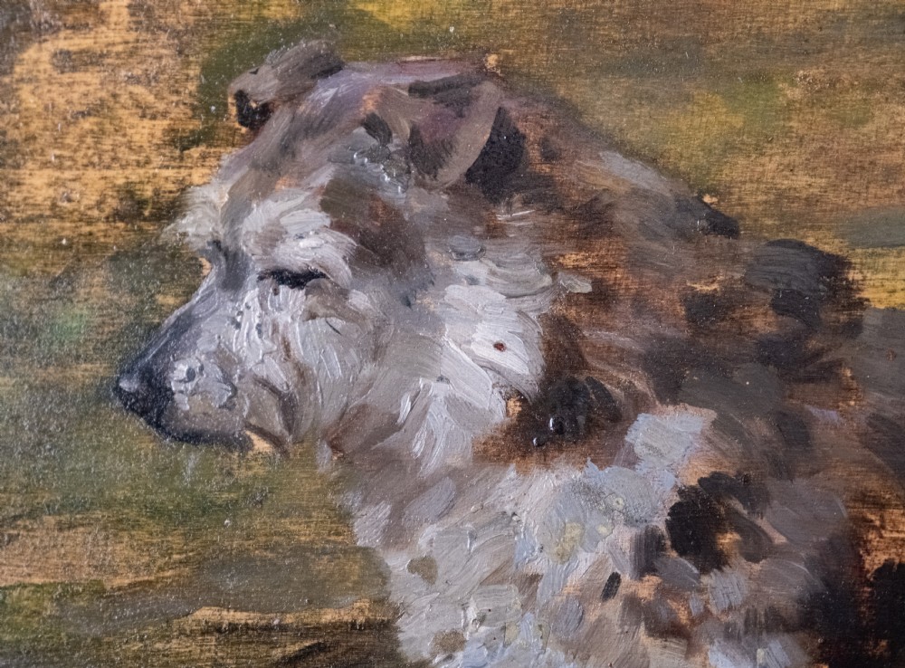 John Murray Thomson R.S.A R.S.W (Scottish, 1885-1974) - Portrait Of A Terrier. Oil On Board.  View III