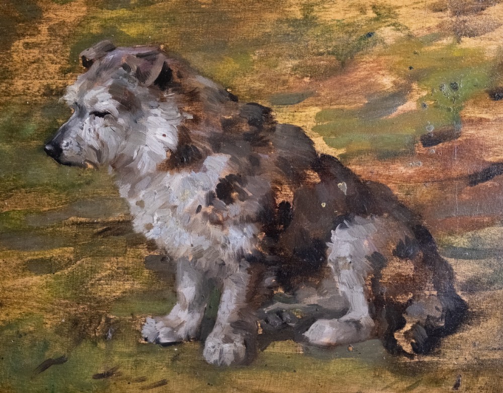 John Murray Thomson R.S.A R.S.W (Scottish, 1885-1974) - Portrait Of A Terrier. Oil On Board.  View IV