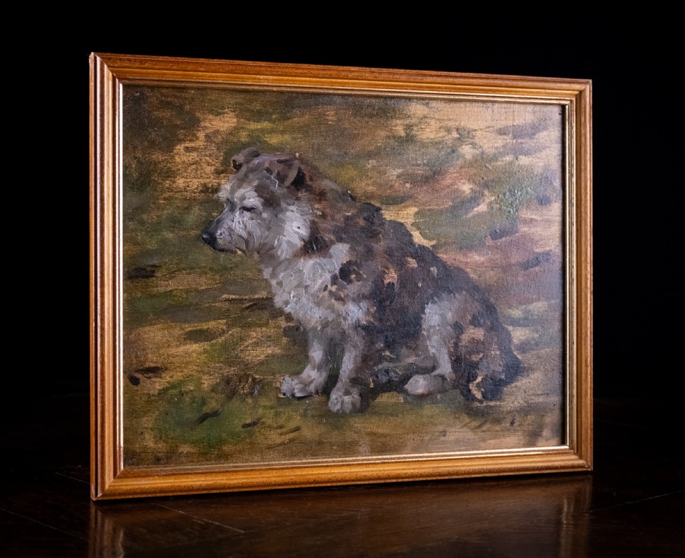 John Murray Thomson R.S.A R.S.W (Scottish, 1885-1974) - Portrait Of A Terrier. Oil On Board.  View V