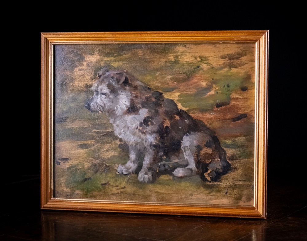 John Murray Thomson R.S.A R.S.W (Scottish, 1885-1974) - Portrait Of A Terrier. Oil On Board.  View VI
