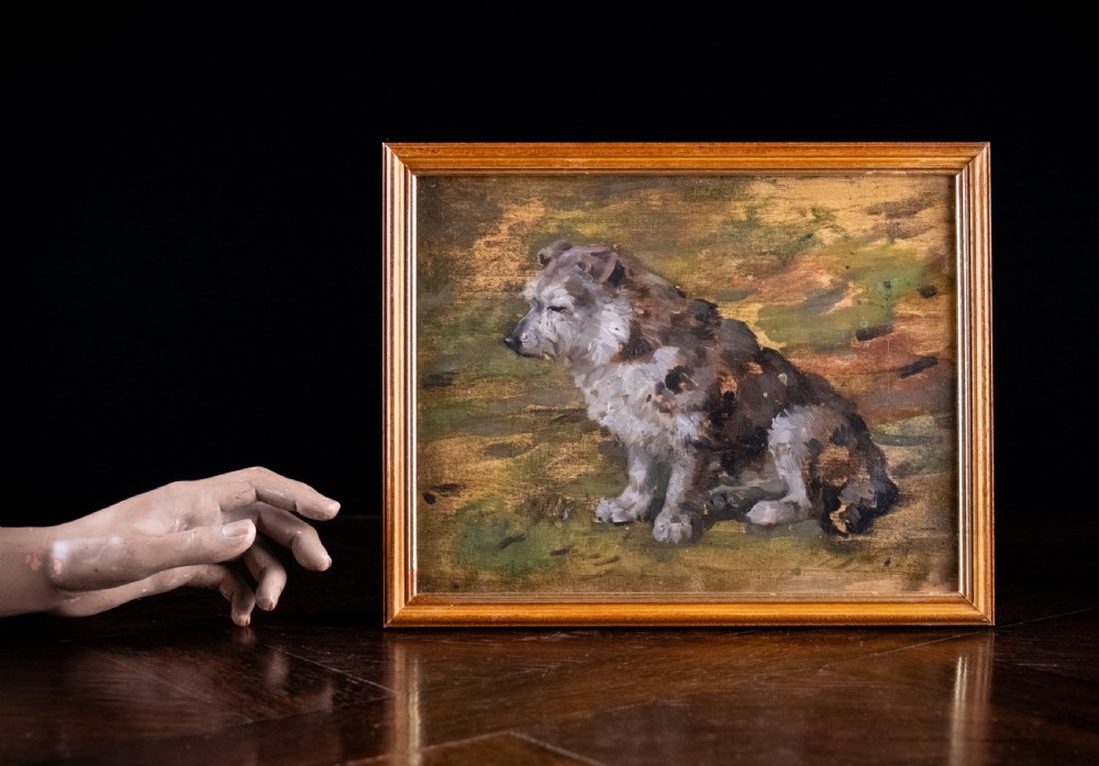 John Murray Thomson R.S.A R.S.W (Scottish, 1885-1974) - Portrait Of A Terrier. Oil On Board.  View VII