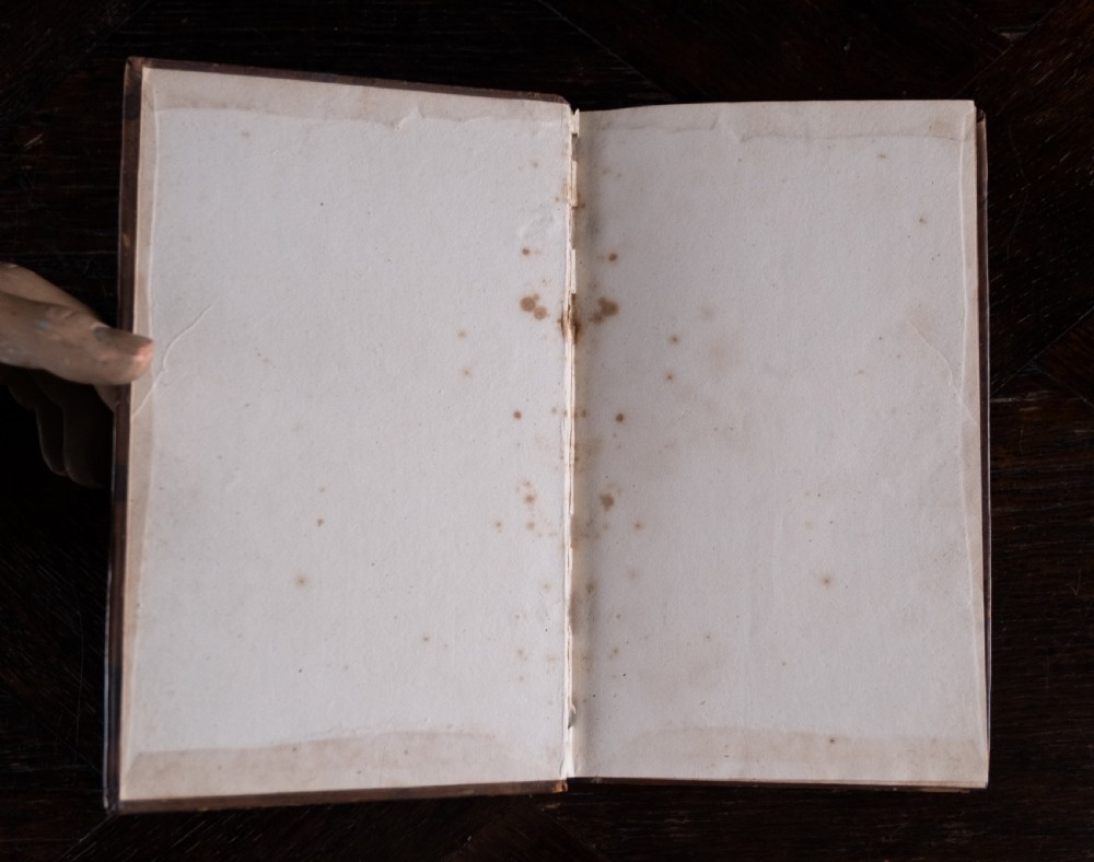 A leather-bound Georgian book standing upright, featuring a tan marbled finish, a red leather spine label with gold lettering, and gilt solar star motifs along the spine. View IV
