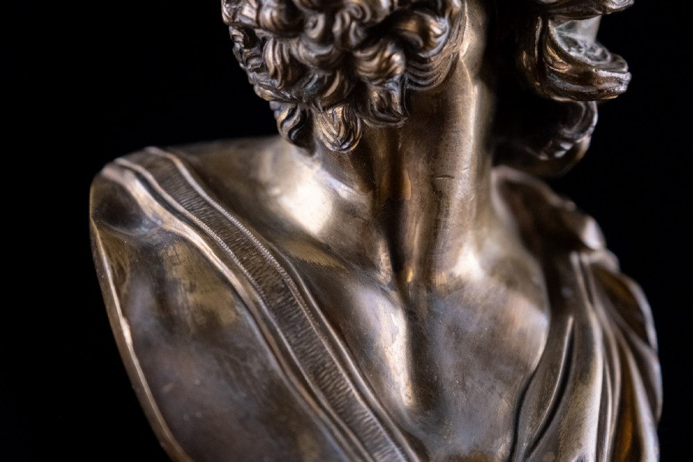 A nineteenth-century gilt bronze sculptural bust depicting the classical hero Ajax in profile, wearing an ornate helmet and mounted on a turned pedestal base. View XII