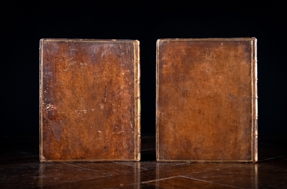 A two-volume set of 18th-century calfskin leather-bound books displaying gilt-tooled spines with red and green title labels. View IV