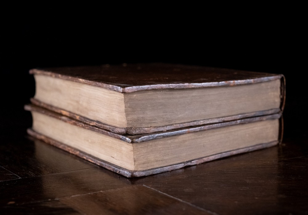 A two-volume set of 18th-century calfskin leather-bound books displaying gilt-tooled spines with red and green title labels. View V