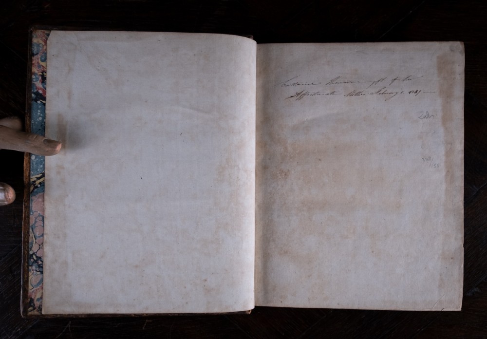 A two-volume set of 18th-century calfskin leather-bound books displaying gilt-tooled spines with red and green title labels. View VIII