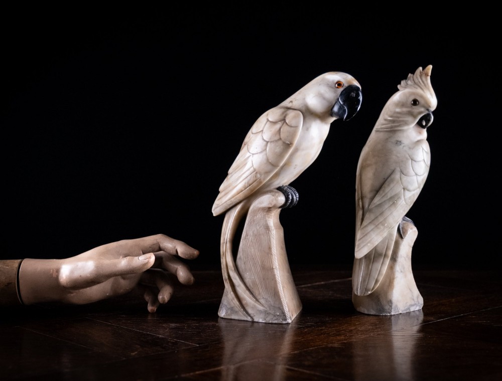 Carved Alabaster Parrot & Cockatoo, c.1920 View XIV