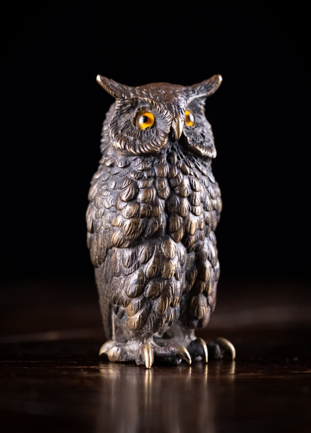 Victorian Bronze Owl View II
