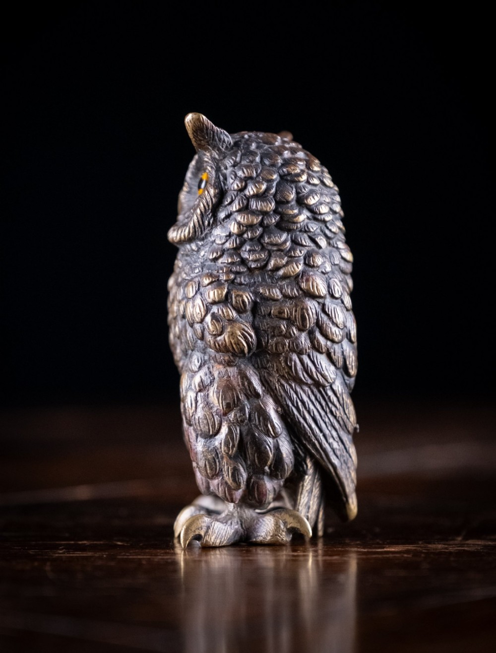 Victorian Bronze Owl View VI