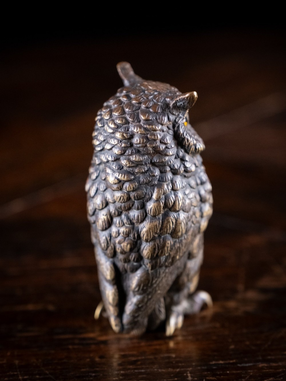 Victorian Bronze Owl View VII