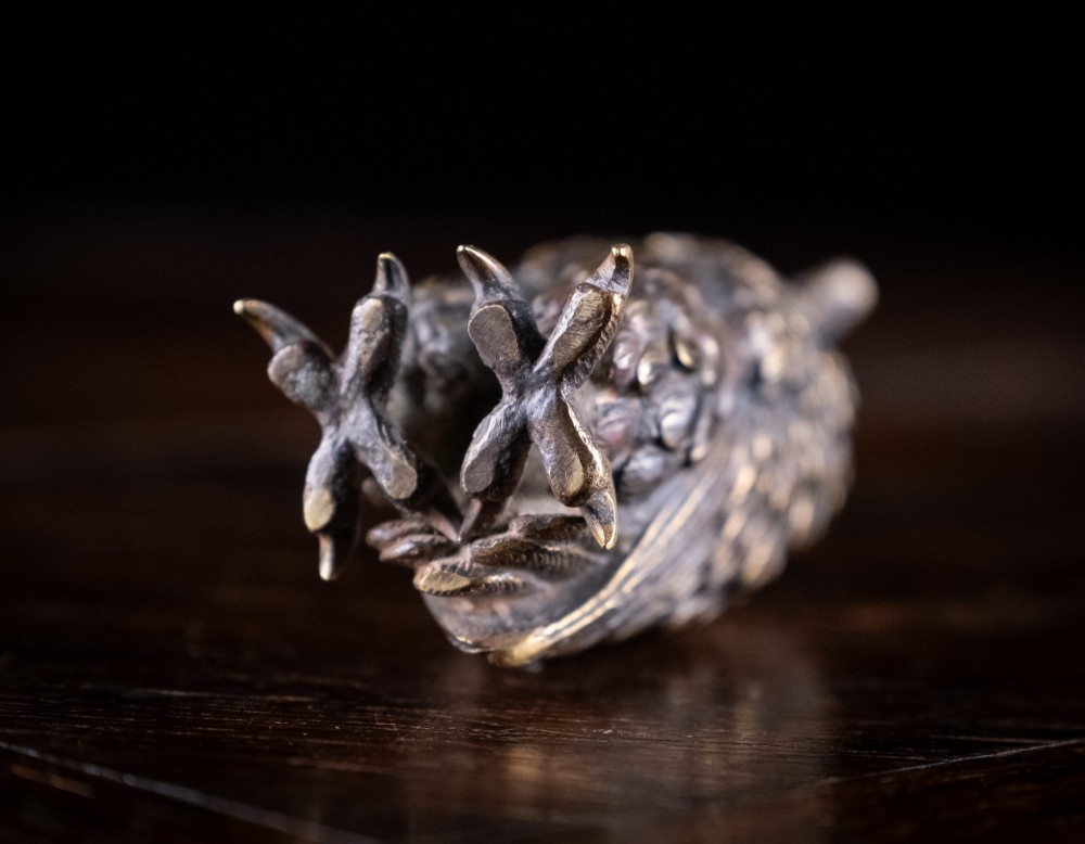 Victorian Bronze Owl View VIII