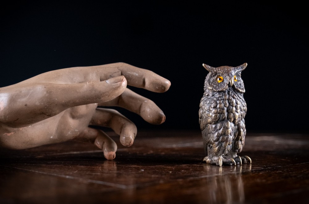 Victorian Bronze Owl View IX