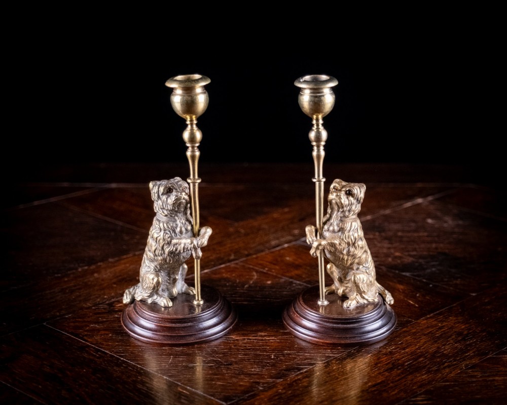 A pair of Edwardian cast brass candlesticks featuring standing terrier dogs holding tall candle columns on dark turned wooden bases. View II