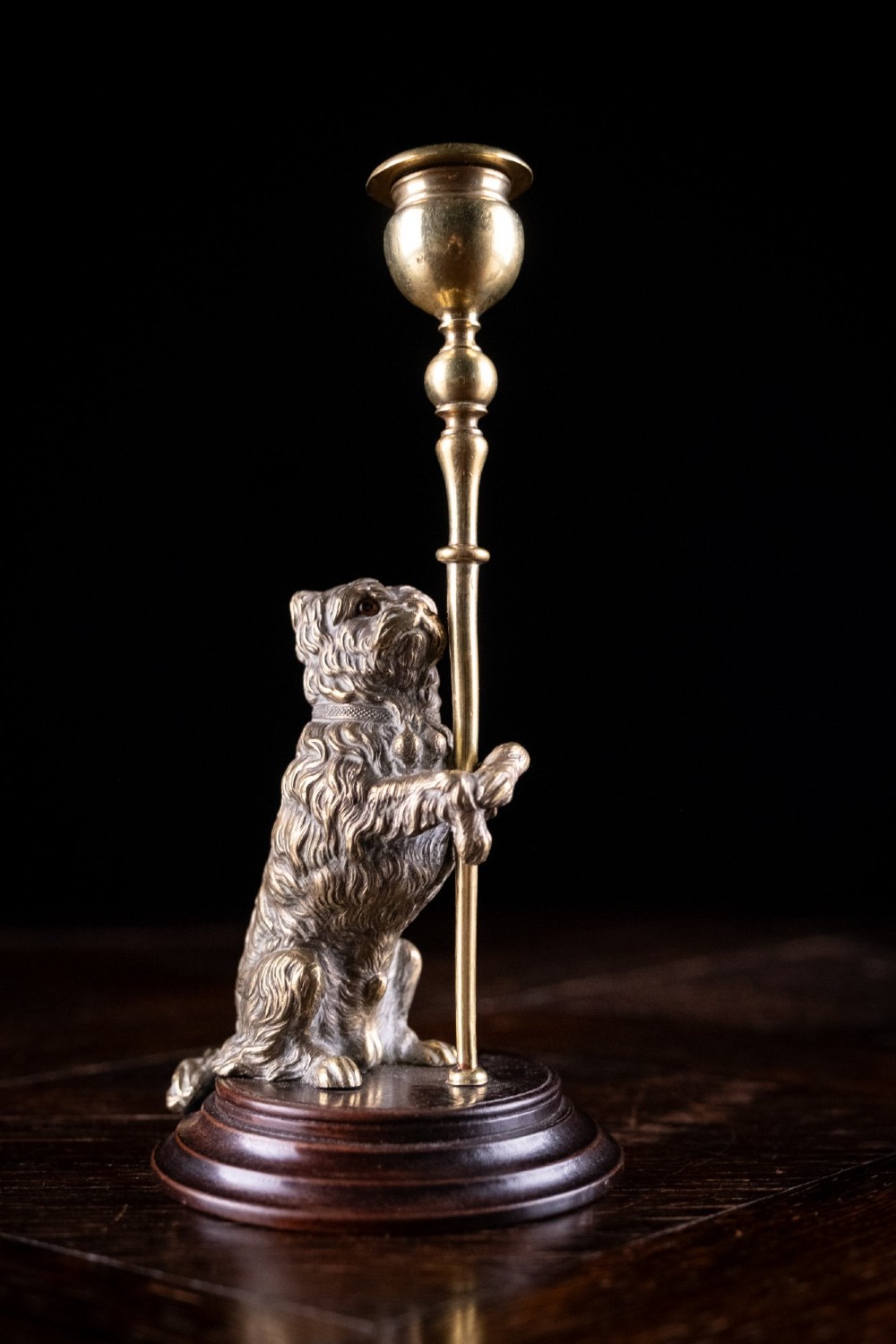 A pair of Edwardian cast brass candlesticks featuring standing terrier dogs holding tall candle columns on dark turned wooden bases. View VII