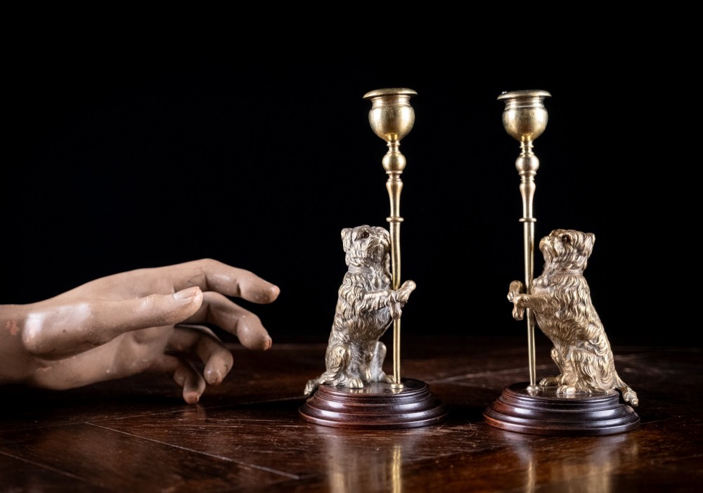 A pair of Edwardian cast brass candlesticks featuring standing terrier dogs holding tall candle columns on dark turned wooden bases. View X