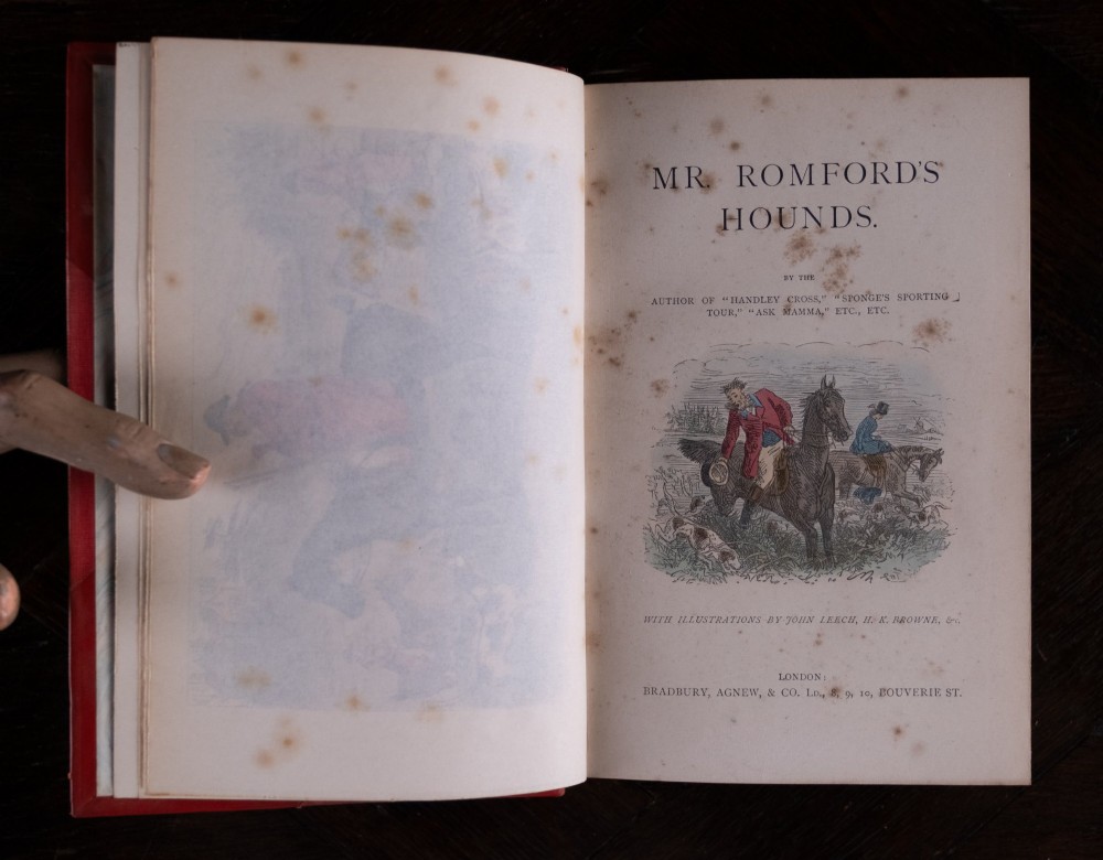 A five-volume set of red books featuring gilt spine lettering and embossed animal motifs. View XIII
