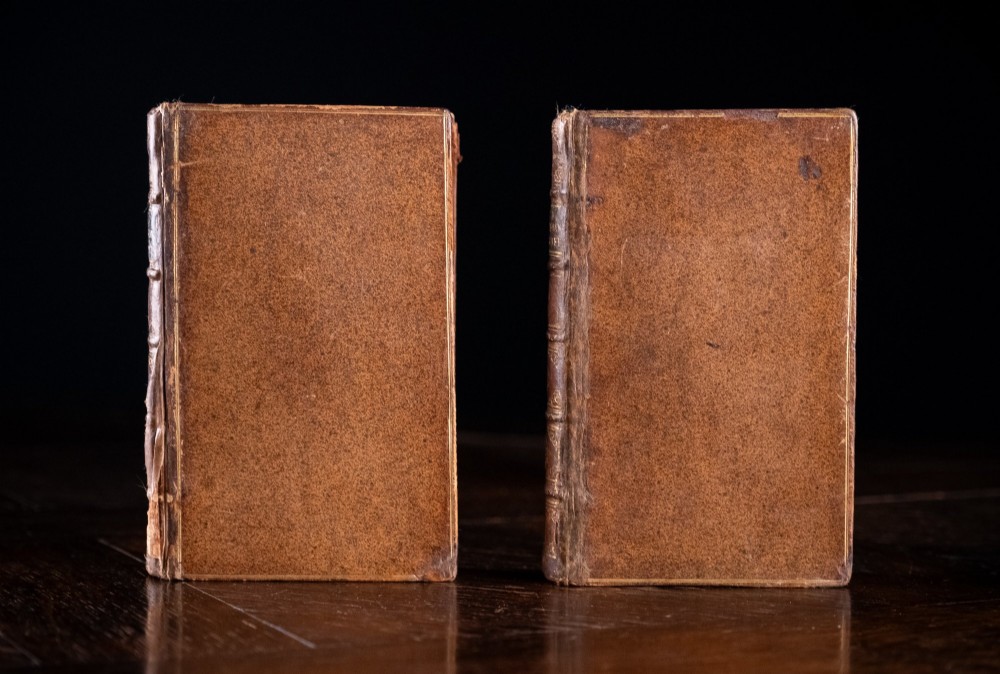 A two-volume set of 18th-century leather-bound books featuring gilt-tooled spine details and raised bands standing vertically. View III