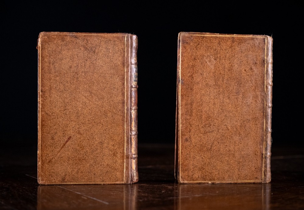 A two-volume set of 18th-century leather-bound books featuring gilt-tooled spine details and raised bands standing vertically. View IV