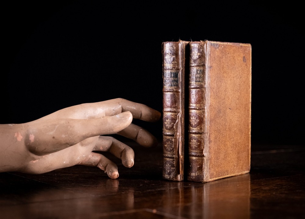 A two-volume set of 18th-century leather-bound books featuring gilt-tooled spine details and raised bands standing vertically. View V