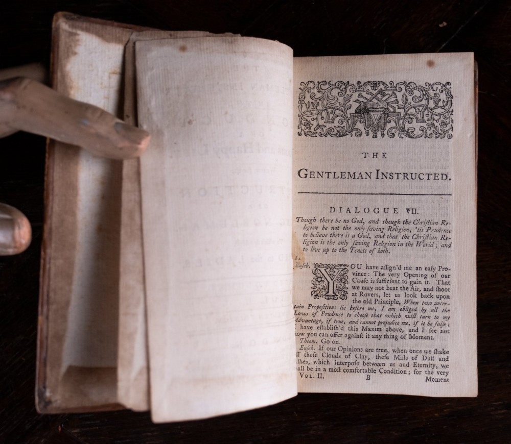A two-volume set of 18th-century leather-bound books featuring gilt-tooled spine details and raised bands standing vertically. View XIV