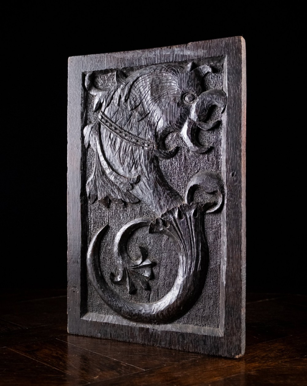 A rectangular dark oak timber panel featuring a high-relief hand carving of a crouching dragon with a feathered neck and curved tail.