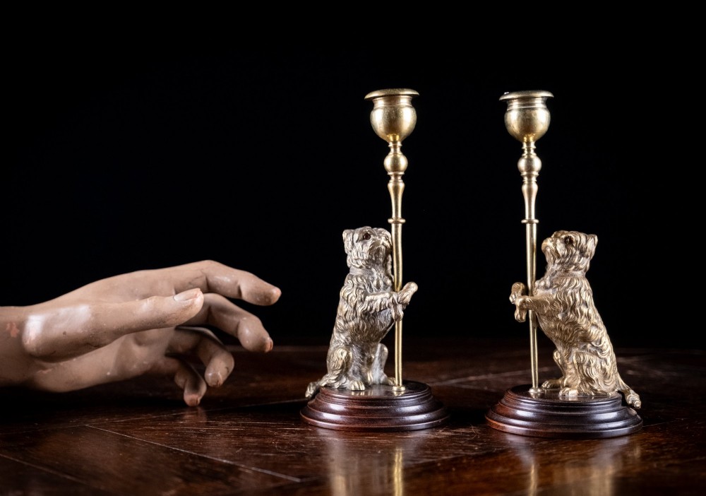 A pair of Edwardian cast brass candlesticks featuring standing terrier dogs holding slender stems, set upon turned dark wooden bases. View X