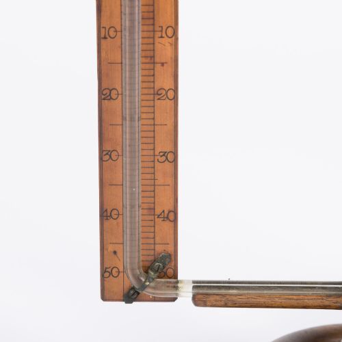 BOXWOOD THERMOSCOPE BY WATKINS HILL - ADDITIONAL PHOTO 2