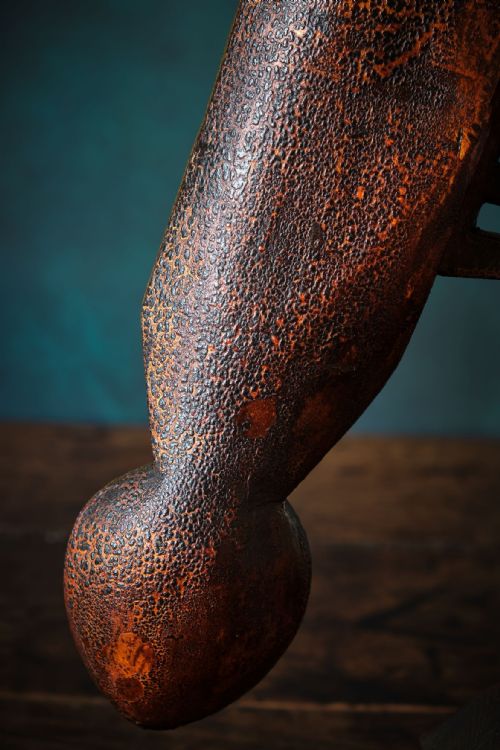 FOXY THE WELSH LOVESPOON - ADDITIONAL PHOTO 13