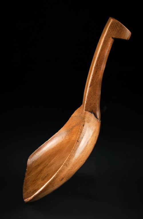 WELSH SYCAMORE SCOOP - ADDITIONAL PHOTO 2