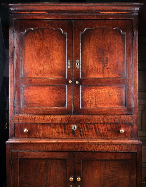 SUPERBLY PATINATED WELSH OAK FOOD CUPBOARD - ADDITIONAL PHOTO 3