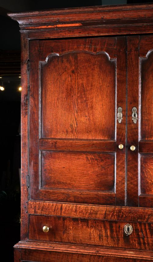SUPERBLY PATINATED WELSH OAK FOOD CUPBOARD - ADDITIONAL PHOTO 4