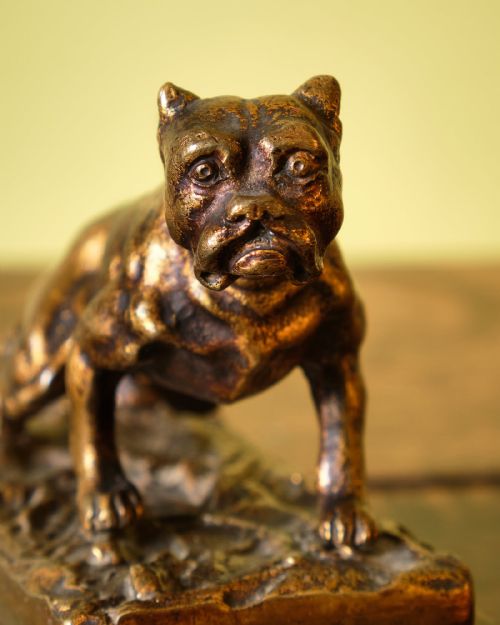 PATINATED BRONZE BULLDOG ON MARBLE BASE - ADDITIONAL PHOTO 4