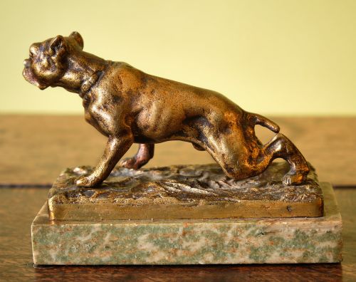 PATINATED BRONZE BULLDOG ON MARBLE BASE - ADDITIONAL PHOTO 5