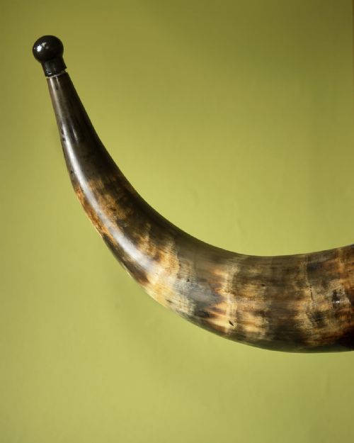 UNUSUAL COW HORN AND OAK HALLSTAND - ADDITIONAL PHOTO 3