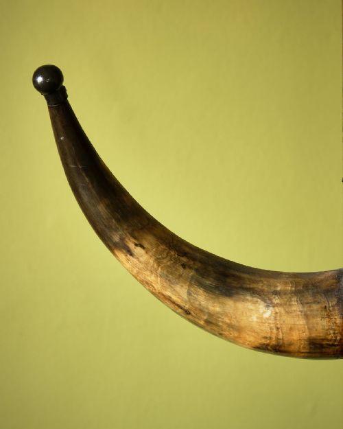 UNUSUAL COW HORN AND OAK HALLSTAND - ADDITIONAL PHOTO 4
