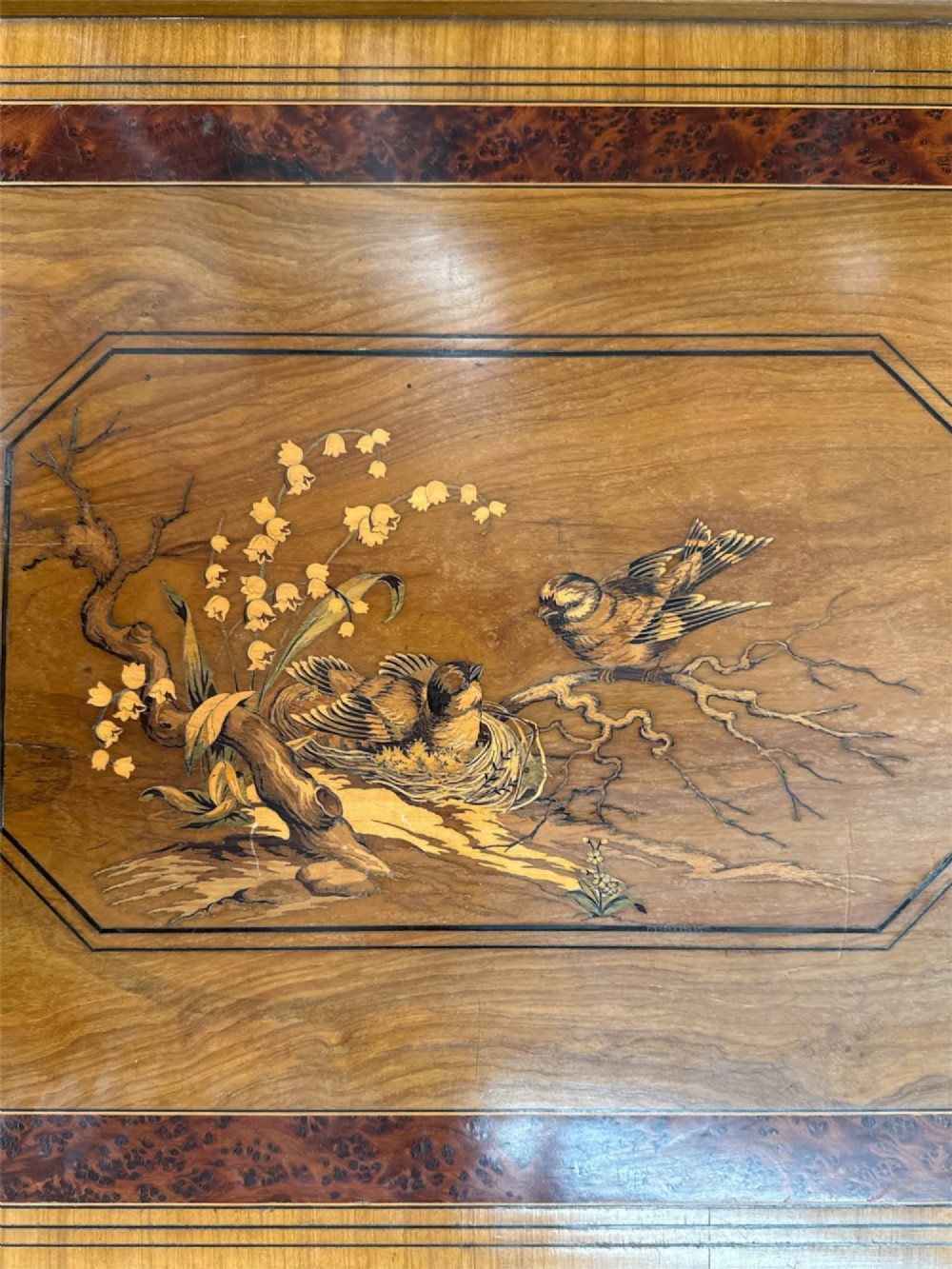 Detail View