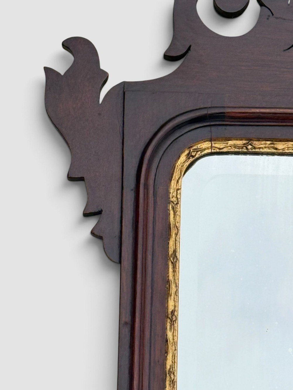 A rectangular Georgian style dark mahogany wall mirror featuring a gilded ho-ho bird crest, gilt inner slip border, and a carved shell marquetry medallion at the base. View VI