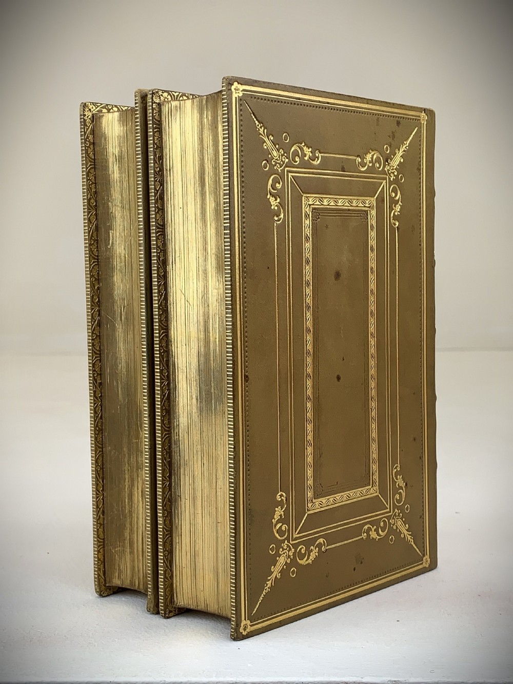 A two-volume set of 1848 leather-bound books titled Our Village, featuring elaborate gold tooling and raised spine bands. View VII