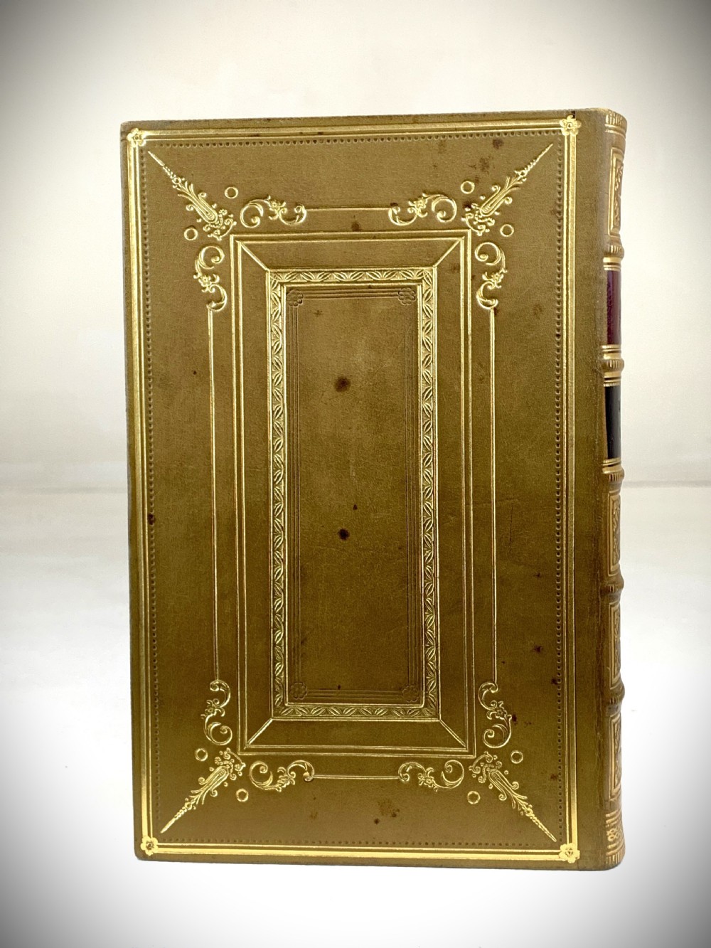 A two-volume set of 1848 leather-bound books titled Our Village, featuring elaborate gold tooling and raised spine bands. View VIII