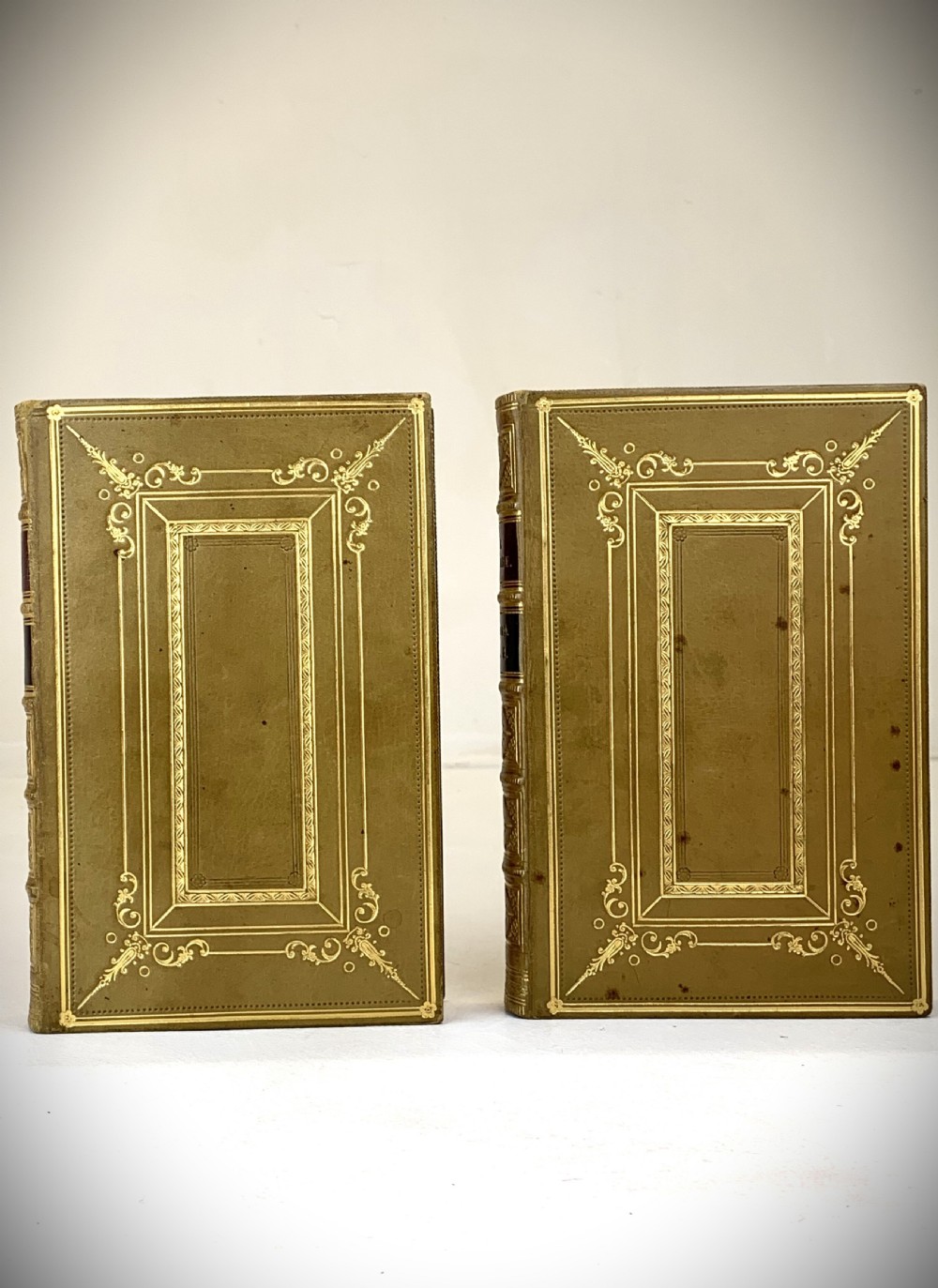 A two-volume set of 1848 leather-bound books titled Our Village, featuring elaborate gold tooling and raised spine bands. View XII