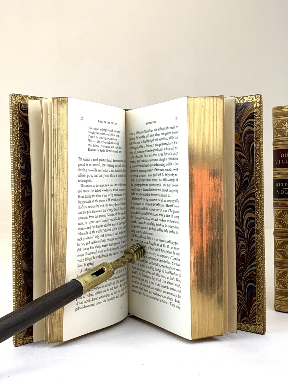A two-volume set of 1848 leather-bound books titled Our Village, featuring elaborate gold tooling and raised spine bands. View XVII
