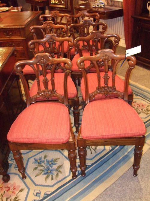 Fine Set of 8  Regency Rosewood Cane Seated Chairs with Squab Cushions