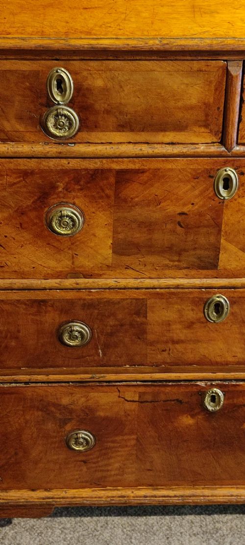 WILLIAM MARY OAK WALNUT CHEST OF DRAWERS - ADDITIONAL PHOTO 2