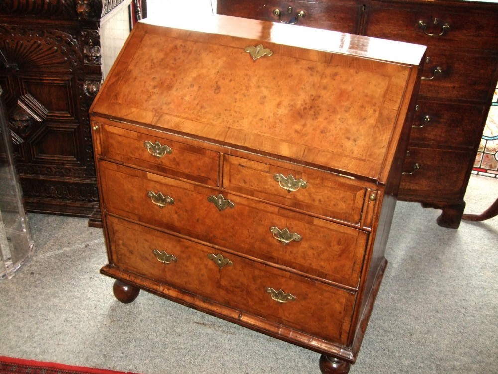 An early 18th-century burr walnut bureau featuring a sloping fall-front lid, engraved brass escutcheons, graduated drawers, and turned bun feet.